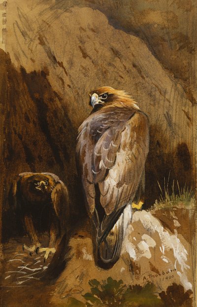 彼らのアイリーでイヌワシ 作： Archibald Thorburn