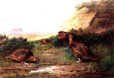 ライチョウのいる風景（ガッシュ 作： Archibald Thorburn
