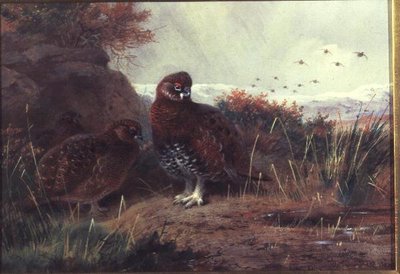 冬景色の中のライチョウ 作： Archibald Thorburn
