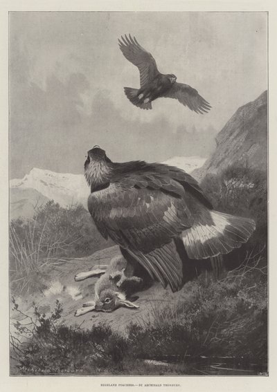 ハイランドポーチャーズ 作： Archibald Thorburn