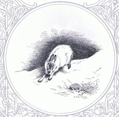 山うさぎ』（ブッククラブアソシエイツ刊 作： Archibald Thorburn