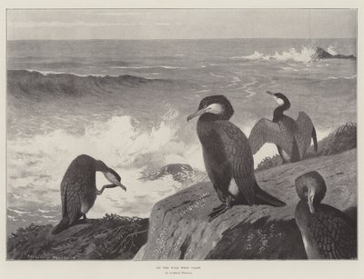 ワイルドウェストコーストで 作： Archibald Thorburn
