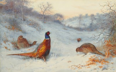 雪の中のキジ 作： Archibald Thorburn