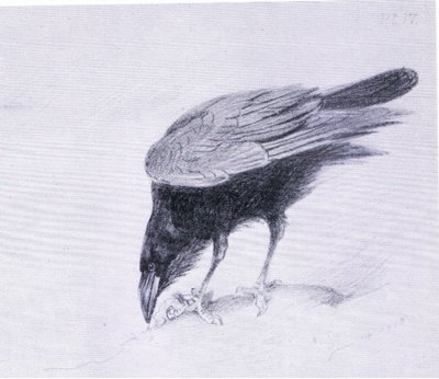 レイヴン、ブッククラブアソシエイツ発行 作： Archibald Thorburn