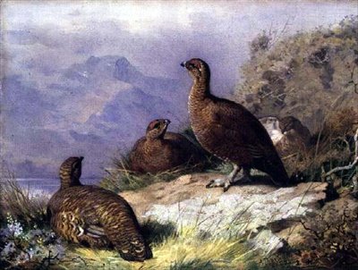 湖のほとりのアカライチョウ 作： Archibald Thorburn