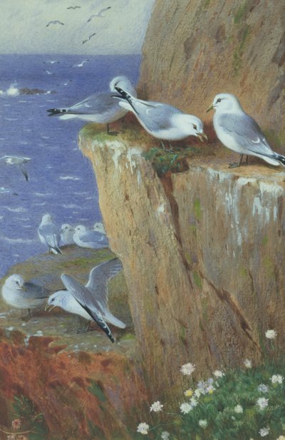 カモメ 作： Archibald Thorburn