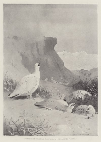 ターミガンの本拠地、スポーツの主題 作： Archibald Thorburn