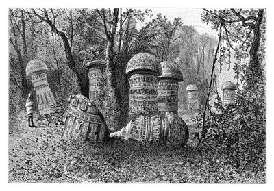 アホム寺院の遺跡、Dinajpur、アッパーアッサム、インド、1895年。 作： Armand Kohl