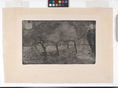 Les Pommiers (The Apple Trees) (エッチング、アクアティント、ドライポイント) 作： Armand Séguin