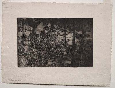 夜の木々、c。 1894 作： Armand Séguin