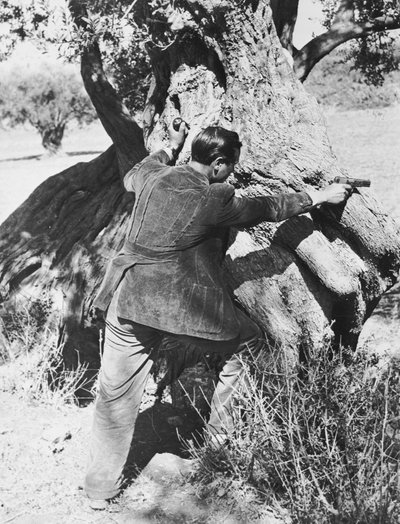 拳銃を指すサルヴァトーレジュリアーノ、1937 作： Armando Bruni