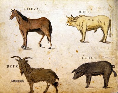 シャルル・プランテ・ファインアーツ社の「1814年のフランスのアルファベット・ブック」からの挿絵 作： Arnaud de Beauregard