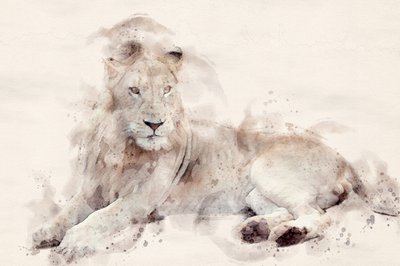  作： 