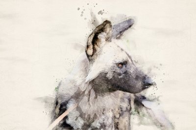  作： 