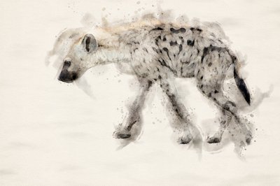  作： 