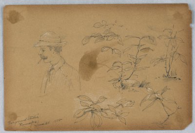 前景研究、ラマポ 作： Arnold William Brunner