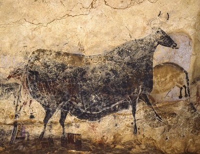 黒牛。 ラスコーの洞窟壁画、紀元前 16.000 ～ 15.000 年頃。 作： Art of the Upper Paleolithic.