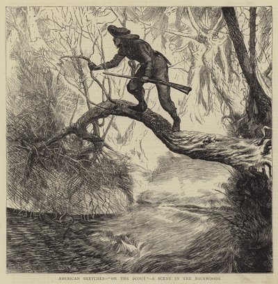 アメリカンスケッチ、スカウト、バックウッドのシーン 作： Arthur Boyd Houghton