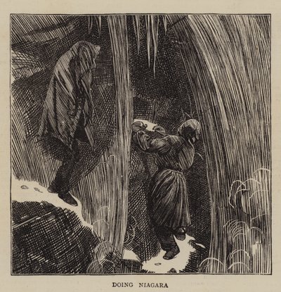 ナイアガラをやって 作： Arthur Boyd Houghton