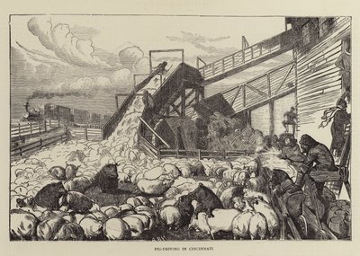 シンシナティでのブタの運転 作： Arthur Boyd Houghton