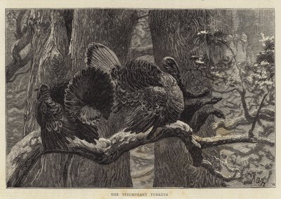 勝利の七面鳥 作： Arthur Boyd Houghton