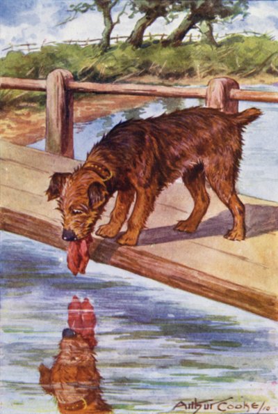 イソップ物語：犬と影（カラーリソ） 作： Arthur Claude Cooke