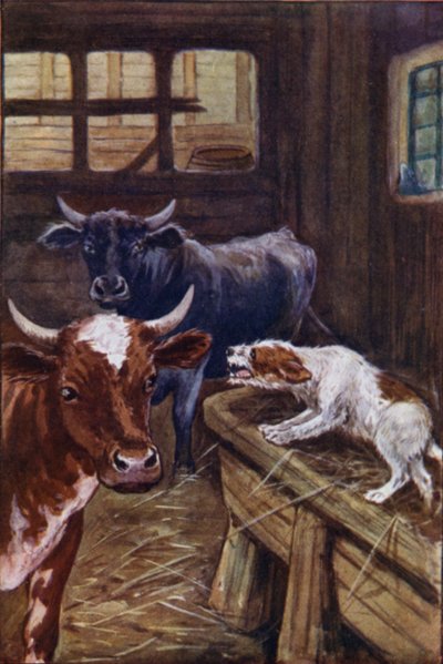 イソップ物語: 飼い葉桶の犬 (色リソ) 作： Arthur Claude Cooke
