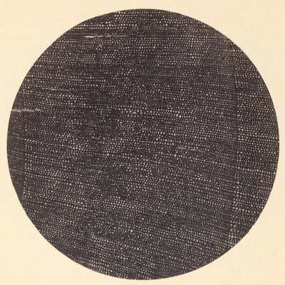 木材ソールズベリーの横断面の顕微鏡写真、1870 年代。 作： Arthur Durham