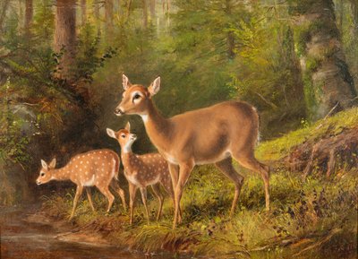 一匹の雌鹿と二匹の子鹿 作： Arthur Fitzwilliam Tait