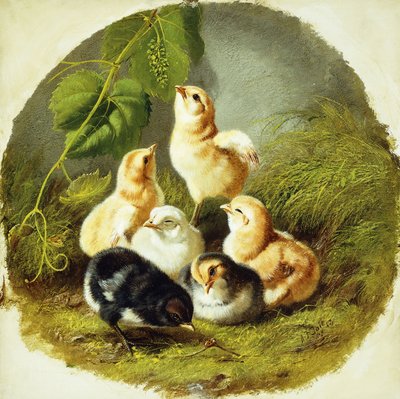 ひよこ、1863 作： Arthur Fitzwilliam Tait