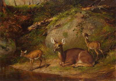 Doe and Two Fawns、1882年。 作： Arthur Fitzwilliam Tait