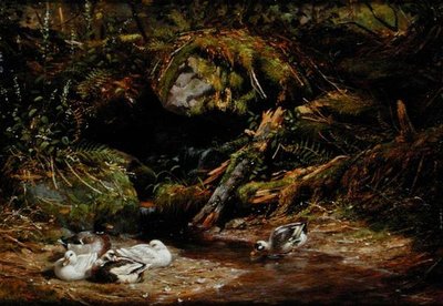 スプリングヘッドのカモたち 作： Arthur Fitzwilliam Tait