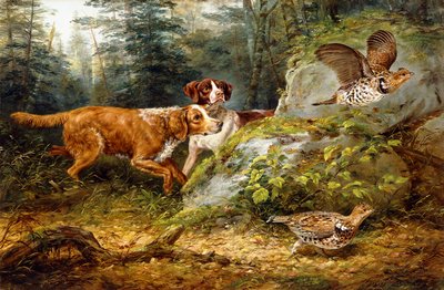 フラッシュ：エリマキライチョウ射撃、1857 作： Arthur Fitzwilliam Tait