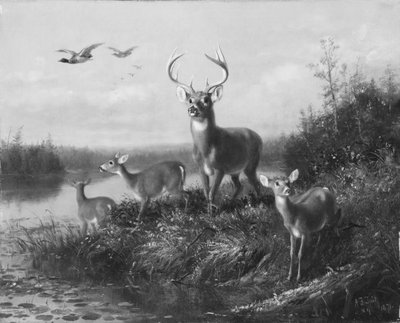 Qui Vive、Buck and Three Does、1871年。 作： Arthur Fitzwilliam Tait