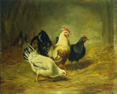 家禽の給餌 作： Arthur Fitzwilliam Tait