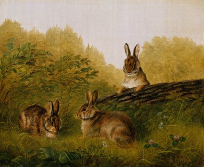 丸太のうさぎ、1897年。 作： Arthur Fitzwilliam Tait