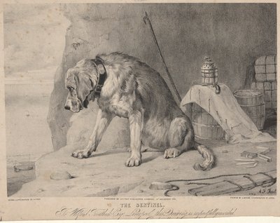センチネル 作： Arthur Fitzwilliam Tait