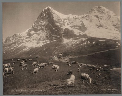 ベルナーオーバーラントのクライネシャイデックの牛、背景にはアイガーとメンヒ Kleine Scheidegg、Eiger und Moench (オブジェクトのタイトル) 作： Arthur Gabler