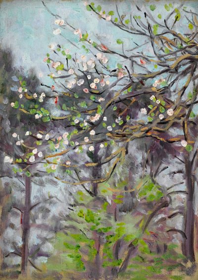 バックグラウンドで松の木と桜の花 作： Arthur Haythorne Studd