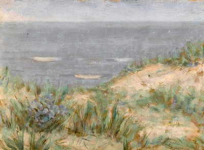 砂丘のあるシービュー、開花海草、1900年頃 作： Arthur Haythorne Studd