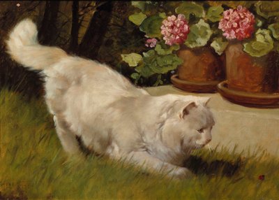 白いペルシャ猫とてんとう虫（油彩・ボード 作： Arthur Heyer