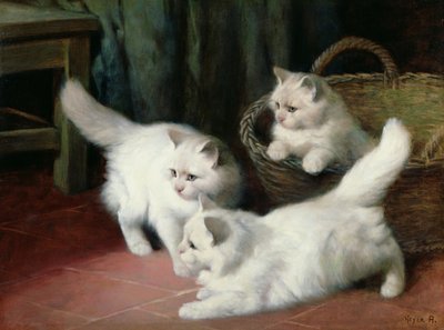 3つの白いアンゴラの子猫 作： Arthur Heyer