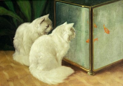 金魚を見ている白猫 作： Arthur Heyer