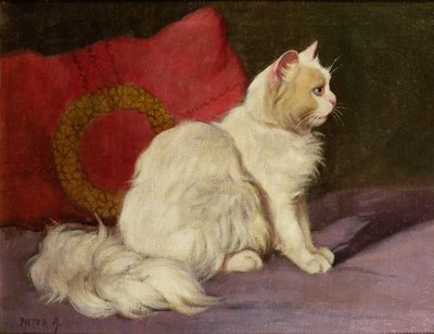 白いペルシャ猫 作： Arthur Heyer