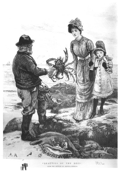 「深海の美しさ」、1882 作： Arthur Hopkins