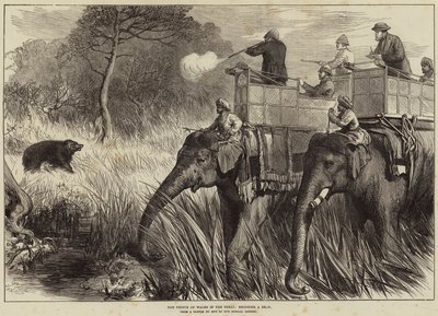 テライのプリンスオブウェールズ、クマを撮影 作： Arthur Hopkins