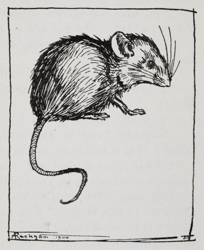 ネズミ 作： Arthur Rackham