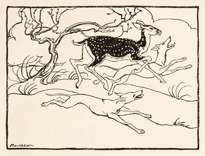 アイルランドのおとぎ話のThe Wooing of Becfolaの戦車に乗ったBecfola 作： Arthur Rackham