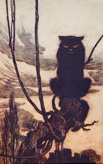 パブのグリム兄弟の童話に登場する彼女は、日によって猫になりました。 1909 作： Arthur Rackham