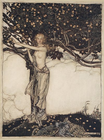 犀星とワルキューレ」の挿絵「公平な者、フライア 作： Arthur Rackham